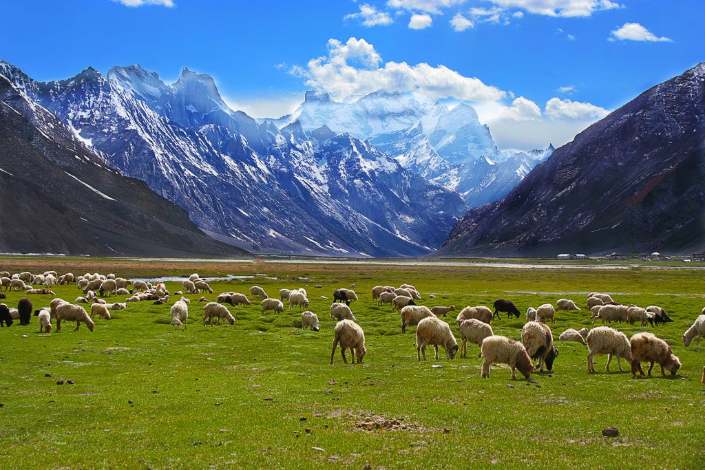 Leh-Ladakh-Road-Trip