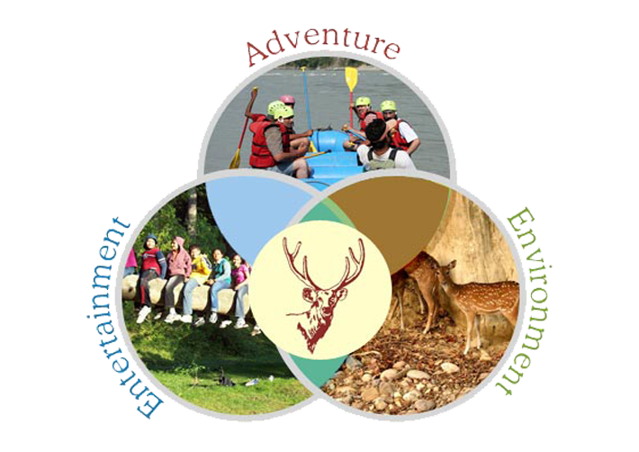 About Us